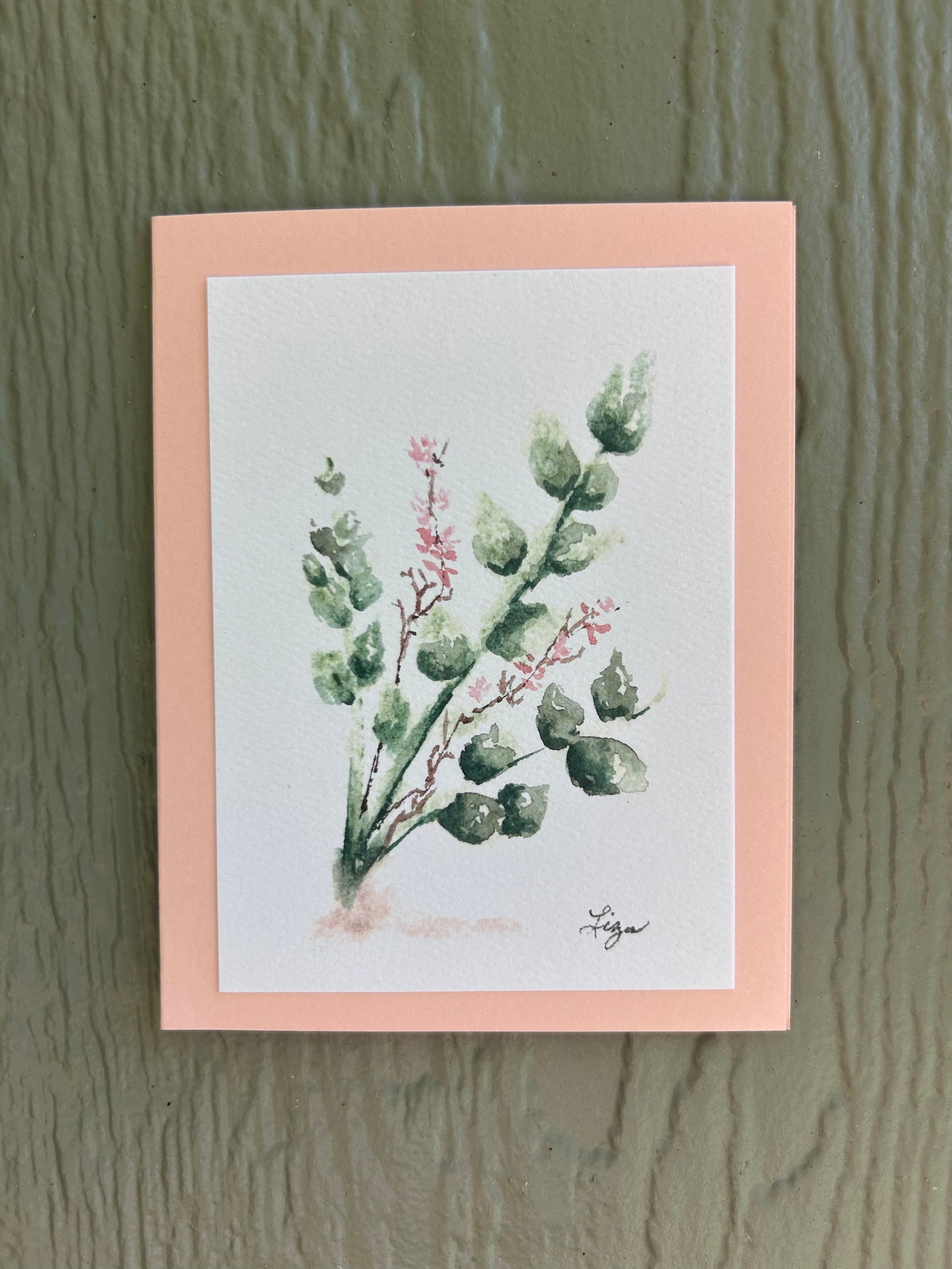 Red Box Eucalyptus- 1 card