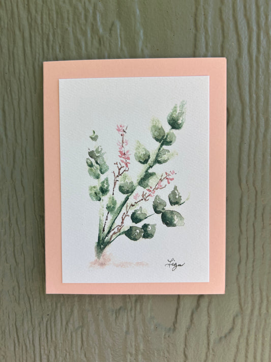 Red Box Eucalyptus- 1 card
